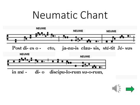 What is Neumatic in Music：深入探究音乐中的膨胀元素与流动情感