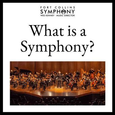 What is a Concerto in Music: A Symphony of Chaos and Order